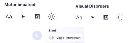 accessibility profiles